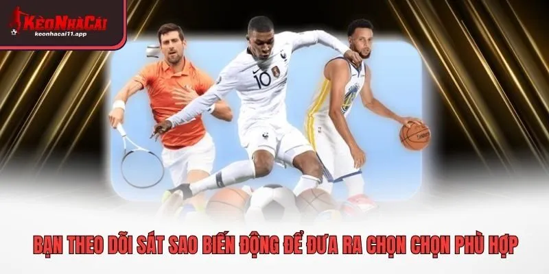 Bạn theo dõi sát sao biến động để đưa ra chọn chọn phù hợp
