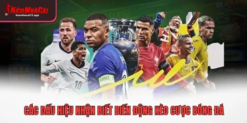 Các dấu hiệu nhận biết biến động kèo cược bóng đá