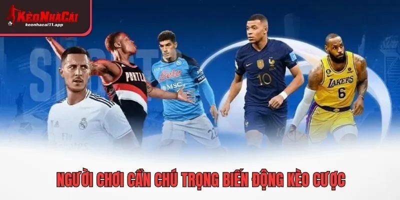 Người chơi cần chú trọng biến động kèo cược
