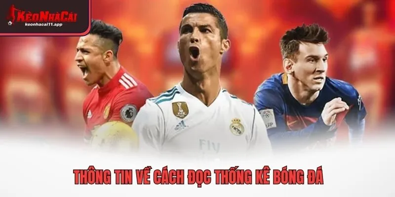 Thông tin về cách đọc thống kê bóng đá