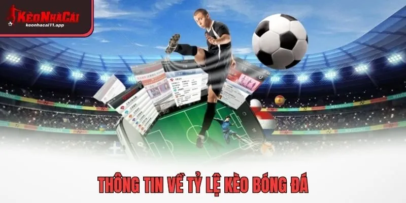 Thông tin về tỷ lệ kèo bóng đá